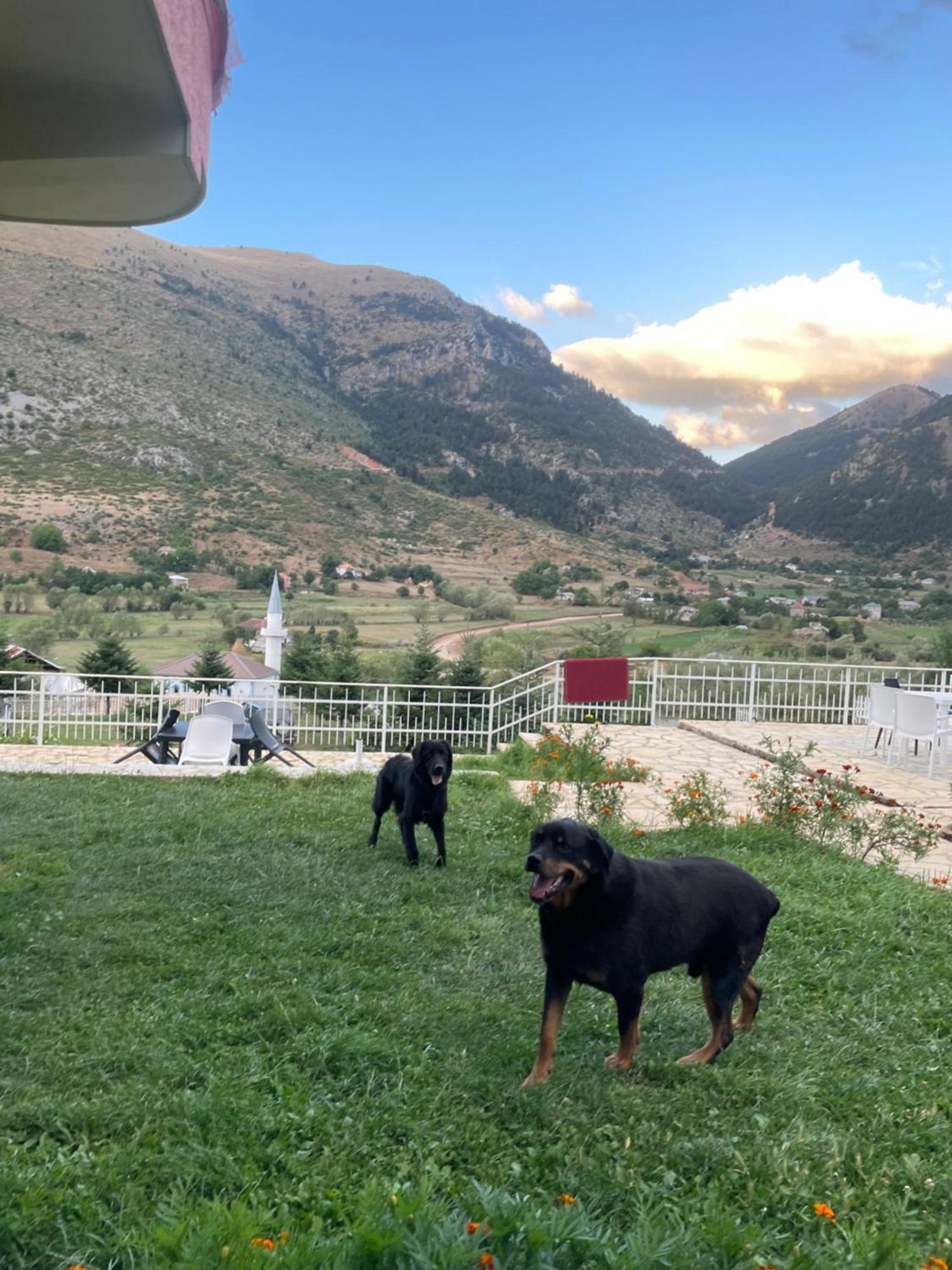LURA Hotel Fushe-Lure Buitenkant foto